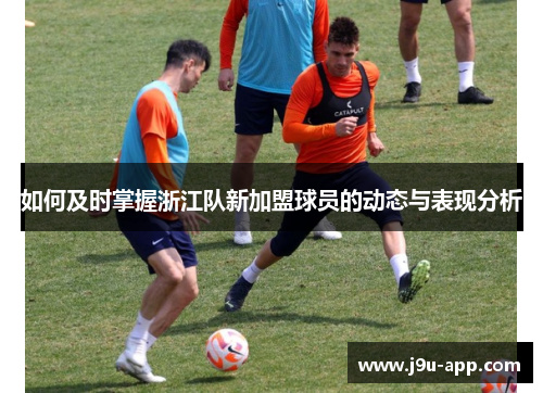 如何及时掌握浙江队新加盟球员的动态与表现分析