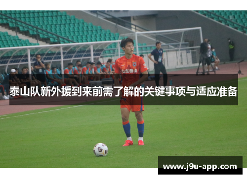 泰山队新外援到来前需了解的关键事项与适应准备