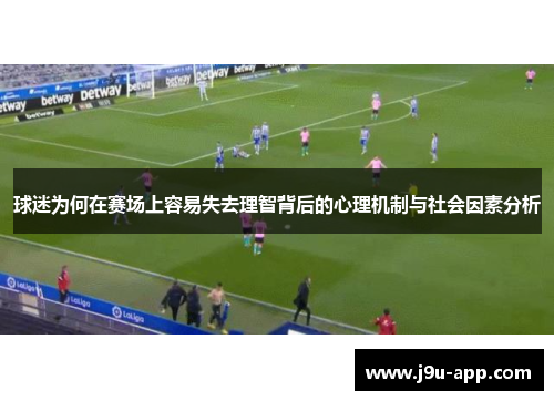 球迷为何在赛场上容易失去理智背后的心理机制与社会因素分析