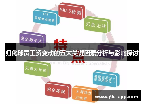 归化球员工资变动的五大关键因素分析与影响探讨 归化球员工资变动的五大关键因素分析与影响探讨