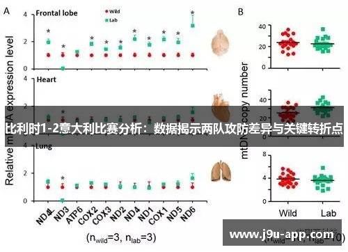 比利时1-2意大利比赛分析:数据揭示两队攻防差异与关键转折点 比利时1-2意大利比赛分析:数据揭示两队攻防差异与关键转折点