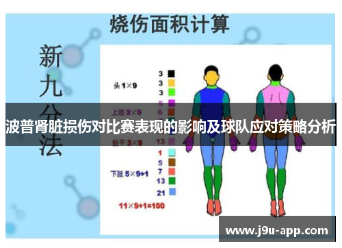 波普肾脏损伤对比赛表现的影响及球队应对策略分析 波普肾脏损伤对比赛表现的影响及球队应对策略分析
